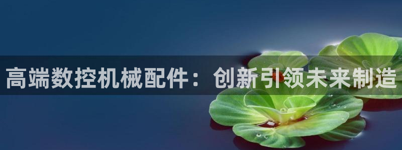 天辰团队贝高娱乐
