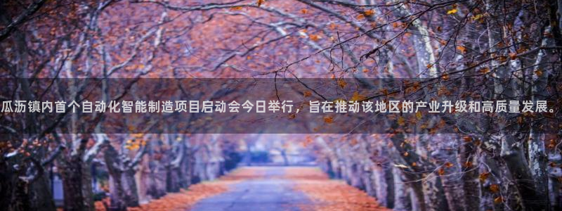 天辰娱乐老板