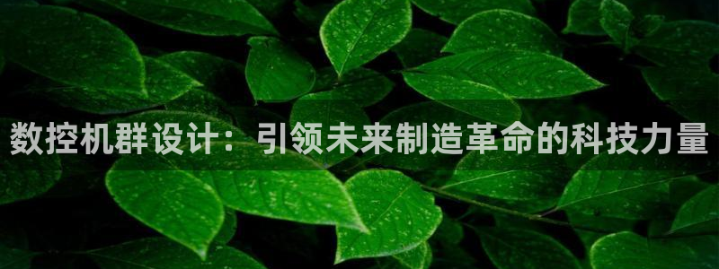 天辰娱乐待遇