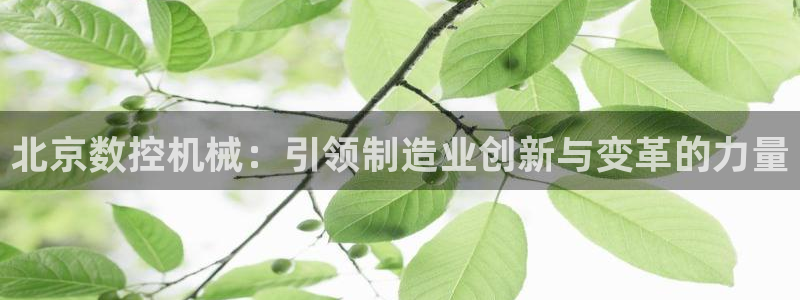 天辰 娱乐