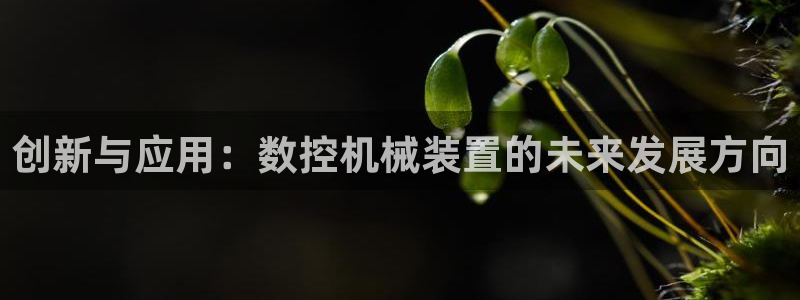 天辰娱乐885544