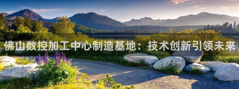 天辰娱乐鱼刺