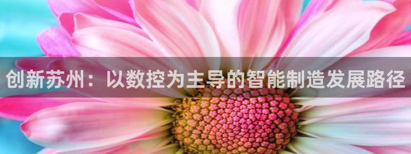 天辰娱乐61116