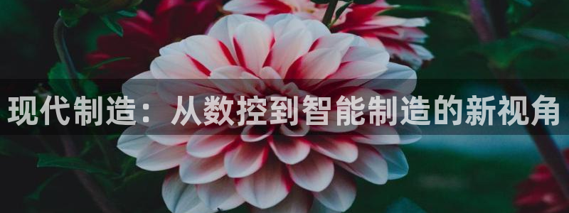 天辰娱乐平台地址