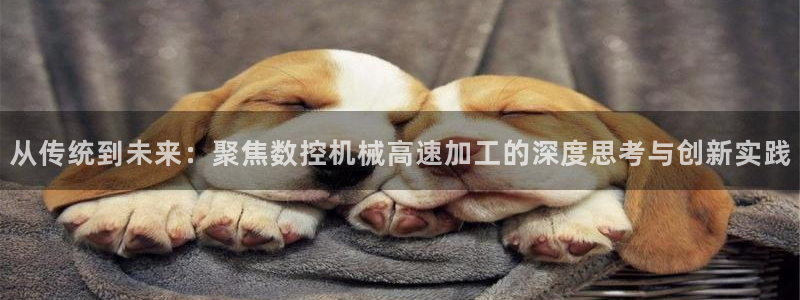天辰(娱乐注册
