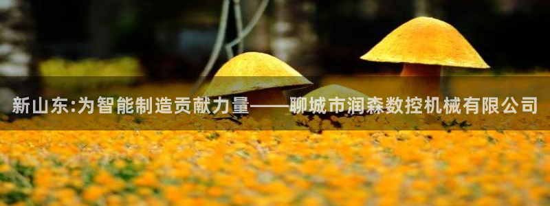 天辰娱乐跑的快