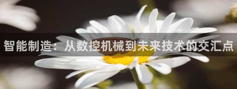 天辰娱乐元宝