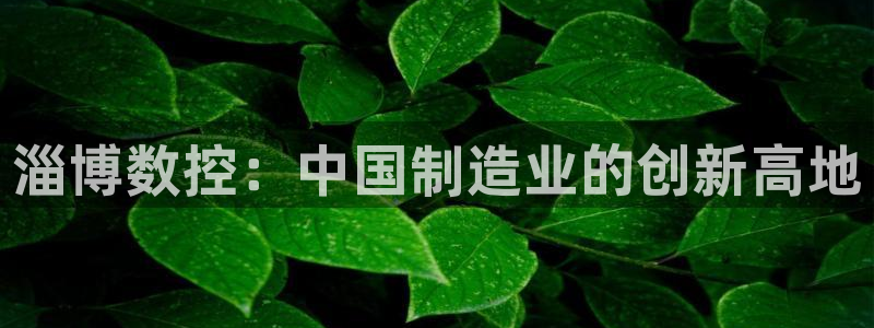 天辰彩票娱乐
