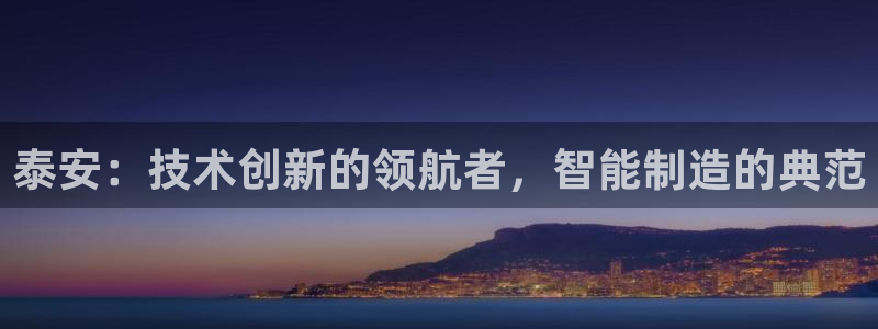 辰天娱乐用品