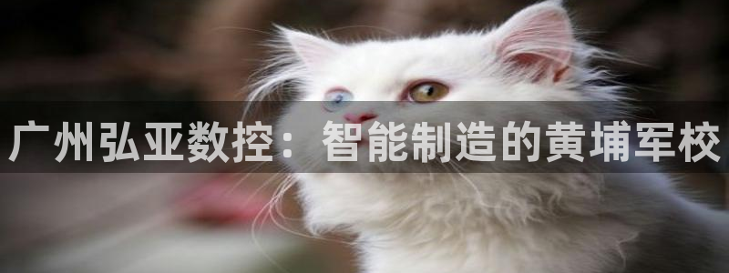 天辰娱乐怎么样