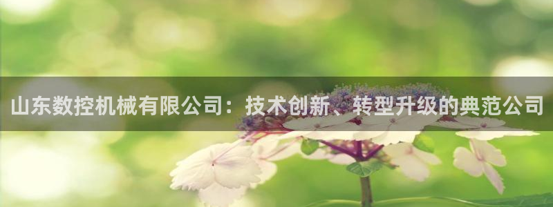 天辰娱乐台湾