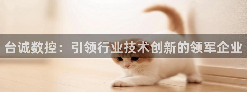 天辰娱乐老板
