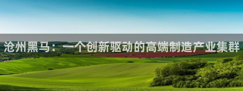 天辰娱乐下载:沧州黑马:一个创新驱动的高端制造产业集群
