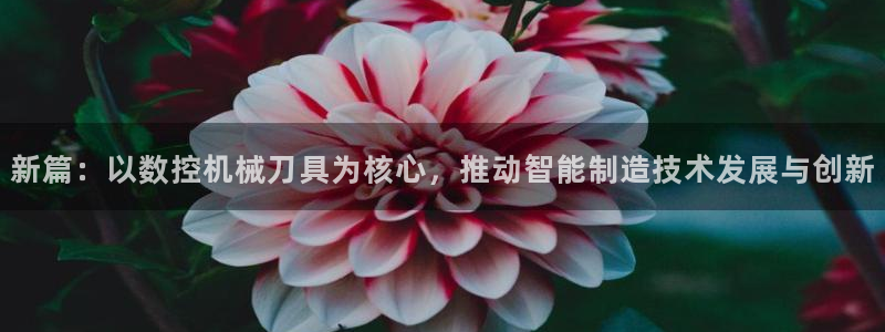 天辰说娱乐