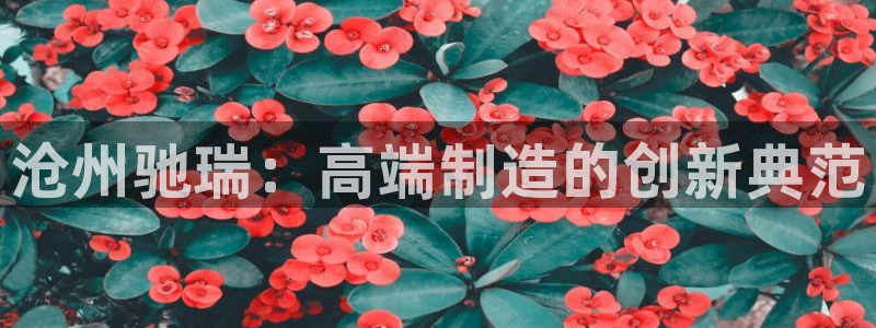 天辰娱乐60447