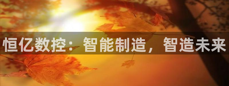 天辰娱乐老板