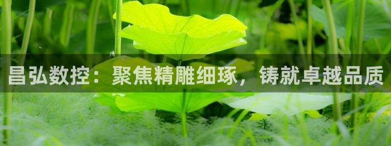 天辰娱乐文案