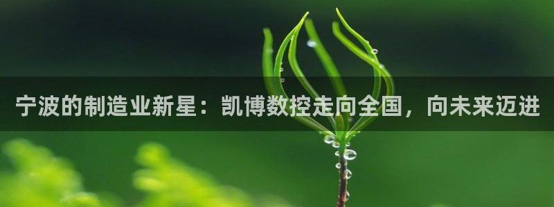 天辰娱乐内部