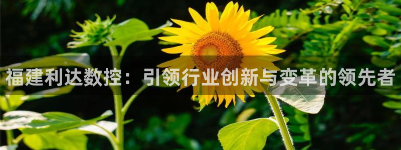天辰娱乐测速