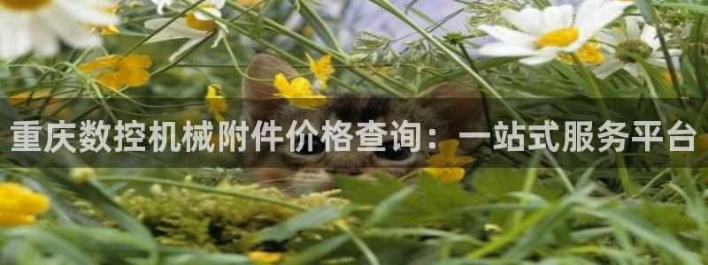 天辰娱乐481928
