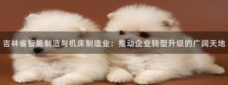 天辰娱乐股票