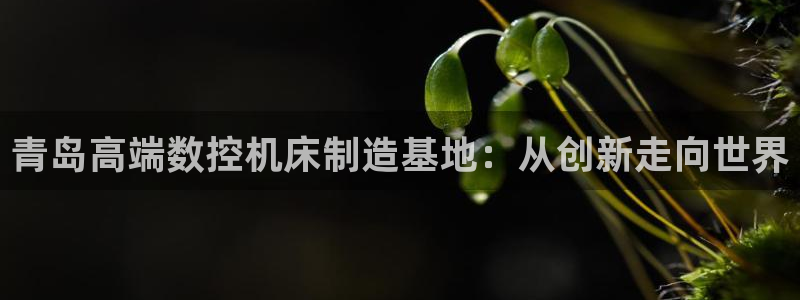天辰宝宝娱乐