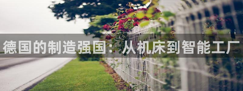 辰天娱乐用品