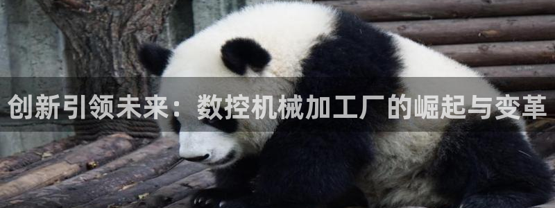 天辰娱乐39974神