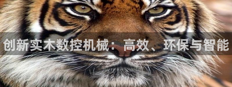天辰娱乐