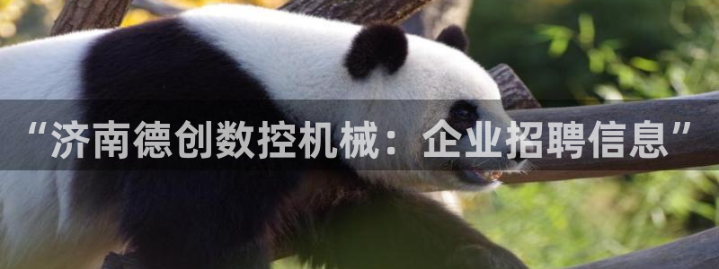 天辰娱乐解封