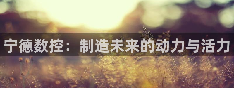 天辰娱乐53551