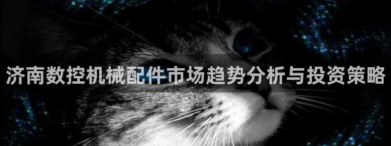 天辰娱乐39596