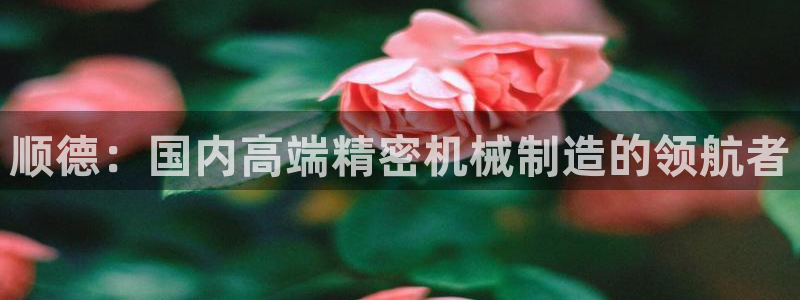 天辰娱乐_ 18113