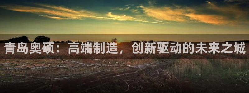 天辰娱乐股东