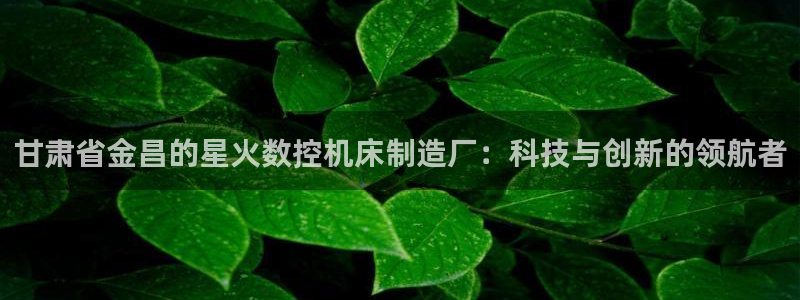 天辰娱乐39596