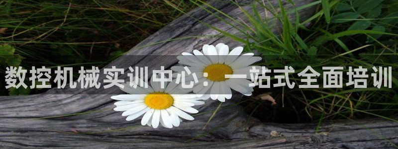 天辰彩票娱乐