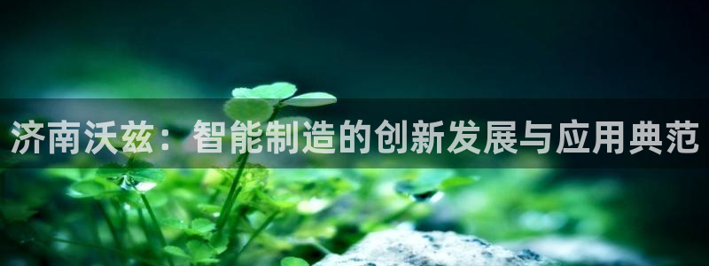 天辰娱乐 849852