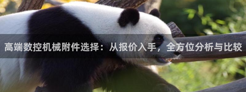 天辰彩票娱乐