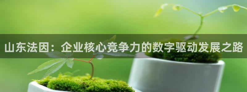 天辰娱乐彩票