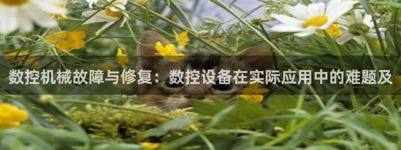 天辰娱乐信誉
