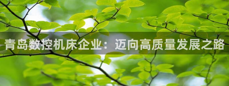 天辰娱乐直属