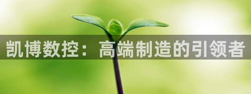 天辰娱乐赌博
