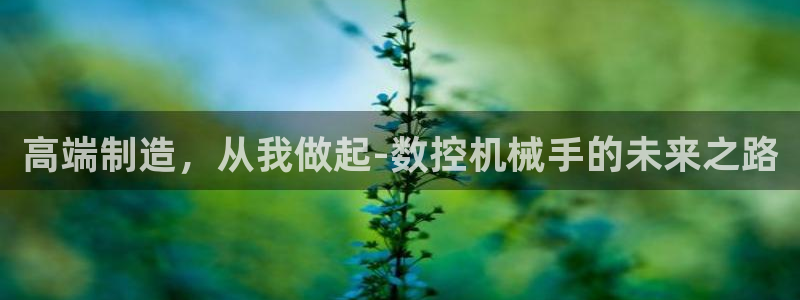 天辰注册娱乐