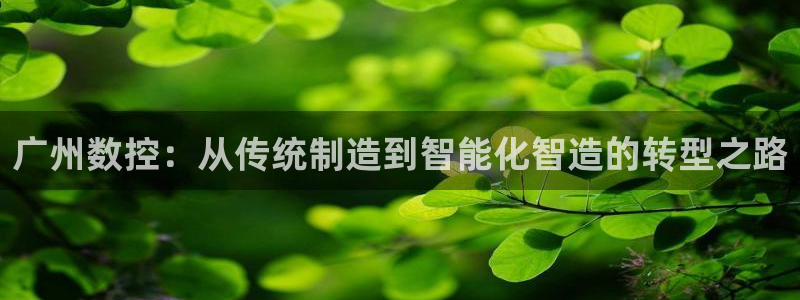 天辰娱乐解封