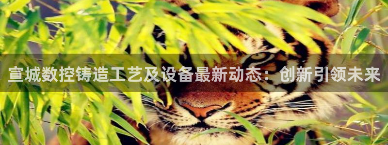天辰娱乐主页