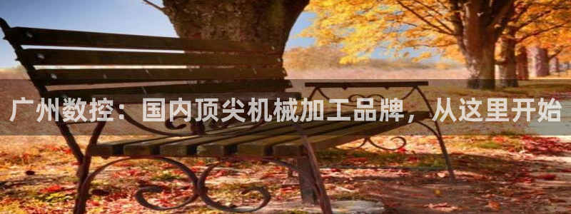 广东天辰娱乐