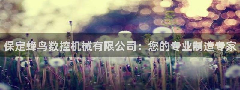 天辰娱乐平台入口
