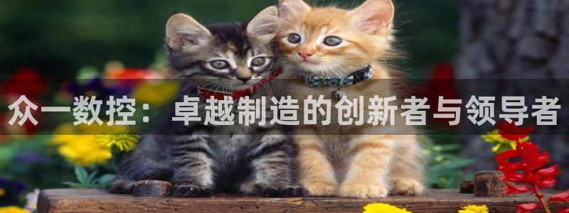 天辰娱乐 44516