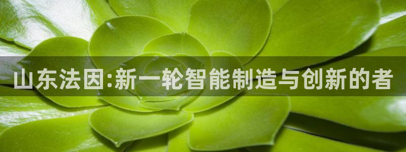 天辰娱乐 首选