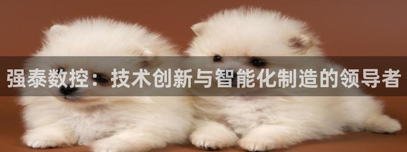 天辰娱乐官方登录下载